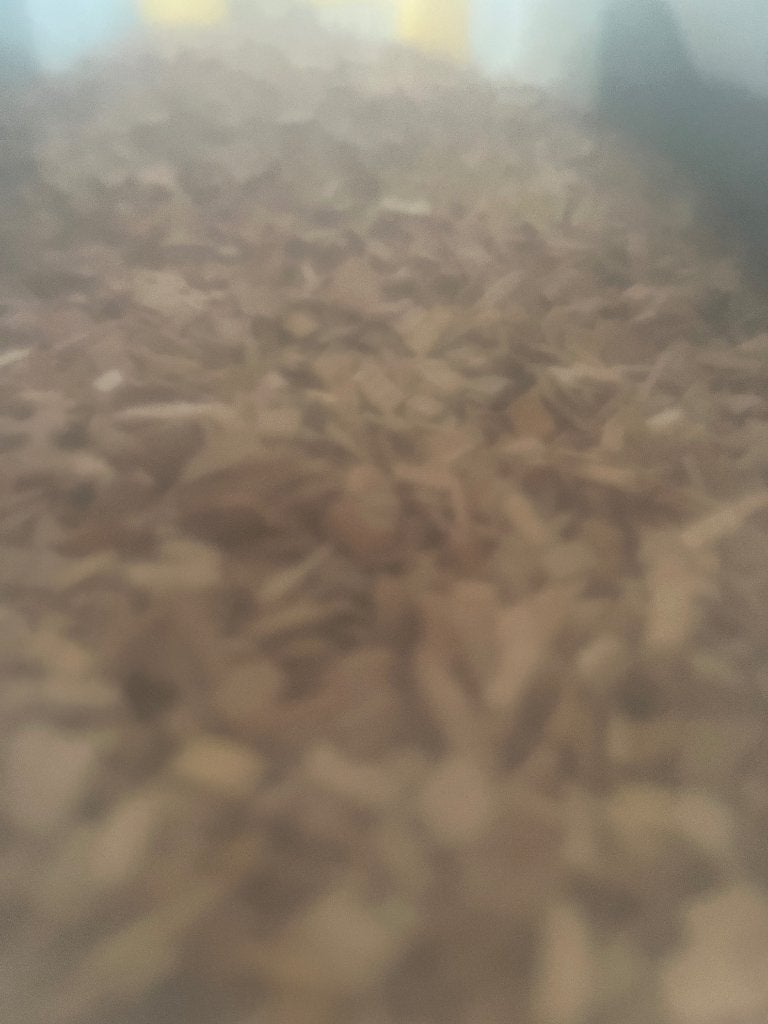 Wood Chips Cherry voor BBQ/Grill, Ophalen of Verzenden, Nieuw, Onbekend
