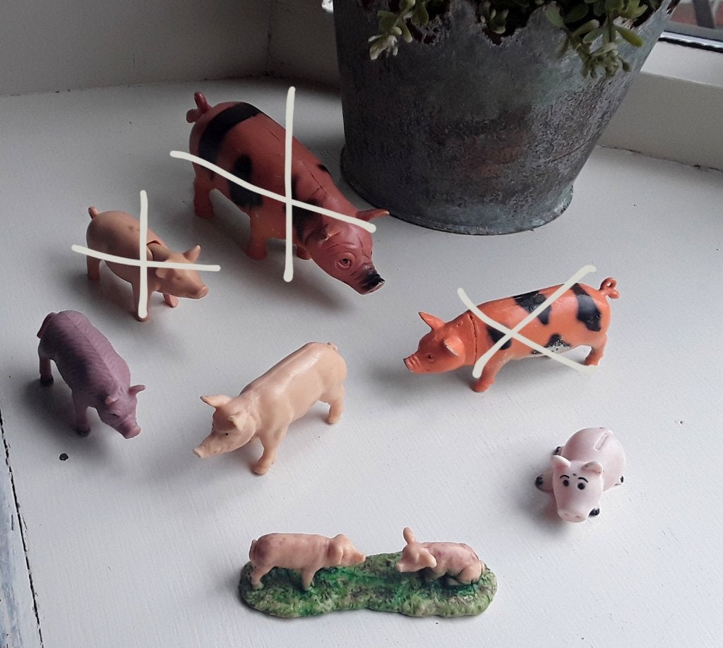 4 varkens (kan ook per stuk gekocht worden) - varken, Ophalen of Verzenden, Gebruikt, Jongen of Meisje