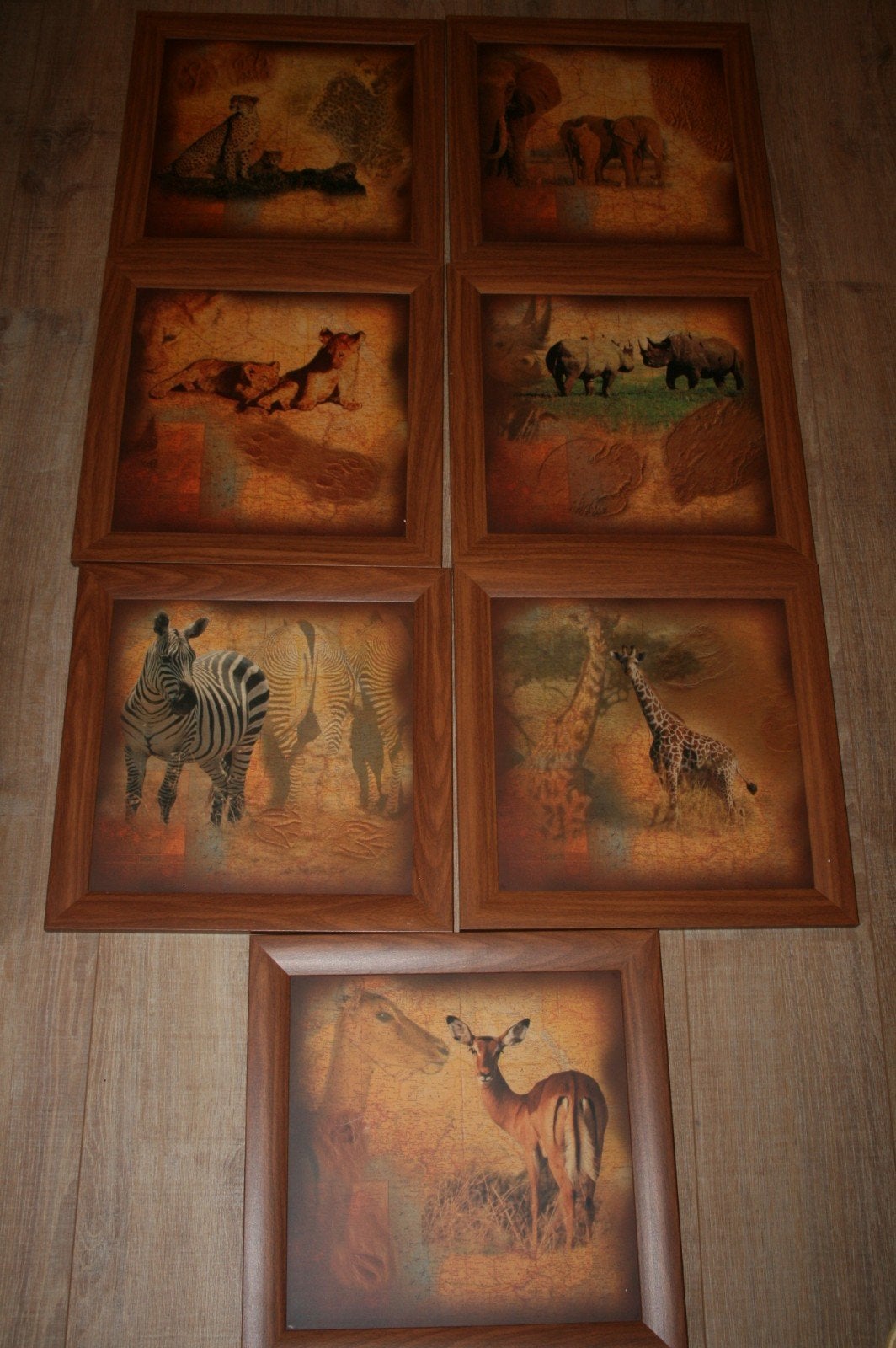 Afrikaanse dieren prints in lijst 7 x, Huis en Inrichting, Ophalen, Zo goed als nieuw