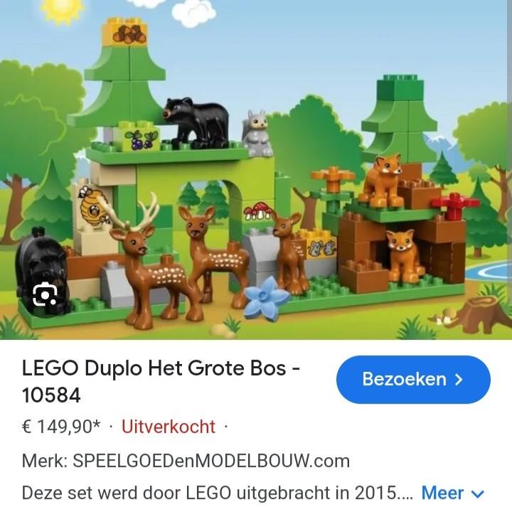 Duplo het grote bos + extra sets, Ophalen of Verzenden, Zo goed als nieuw, Duplo