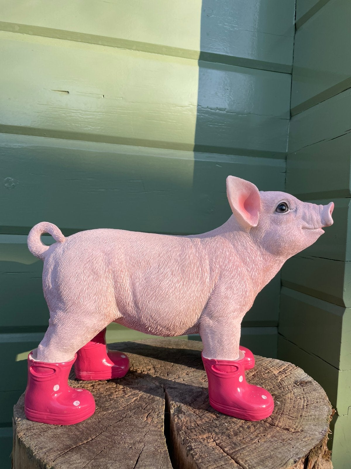 Big varken roze regenlaarsjes beeld tuin boerderij boer stal, Tuin en Terras, Tuinbeelden, Ophalen of Verzenden, Nieuw, Kunststof