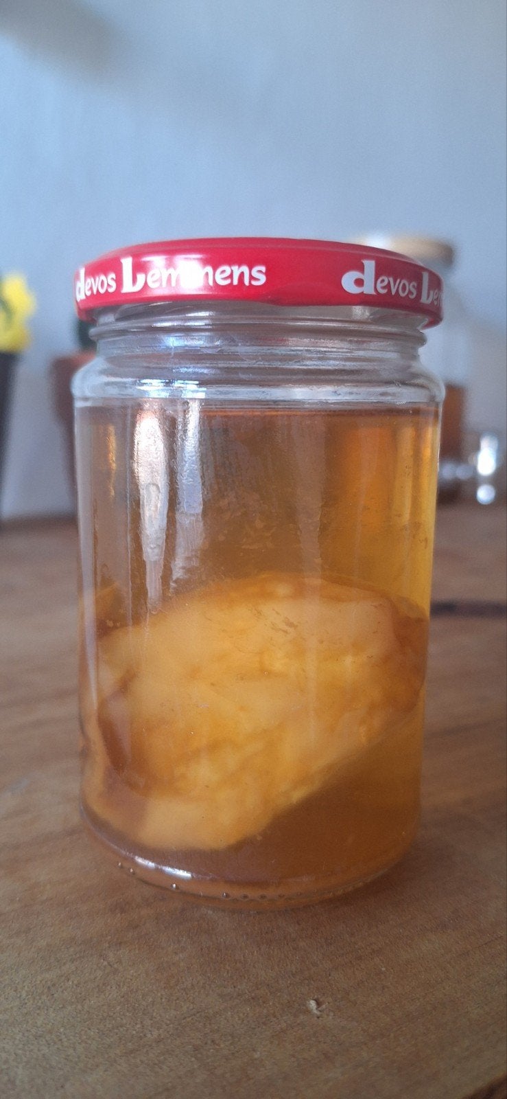 Kombucha SCOBY, Ophalen