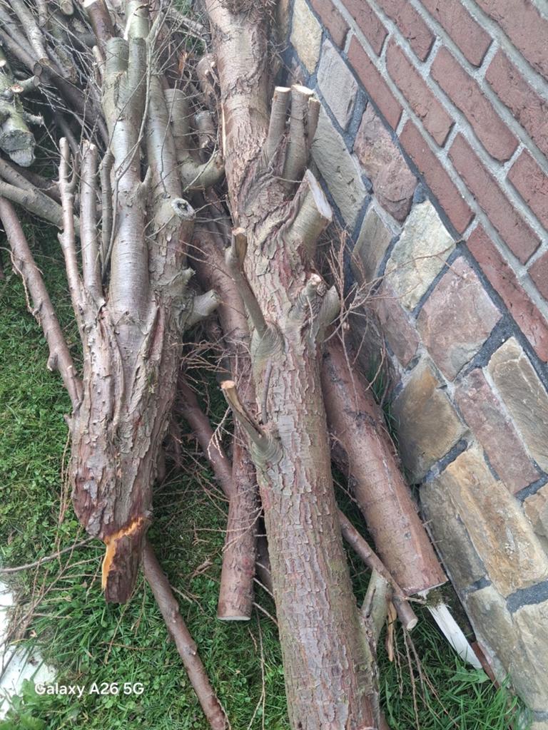 Brandhout, Tuin en Terras, Minder dan 3 m³, Ophalen of Verzenden