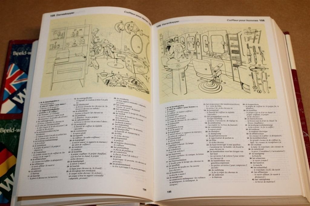 Wolters\' Beeldwoordenboek Frans-Nederlands 1986, Ophalen of Verzenden, Gelezen, Van Dale, Frans
