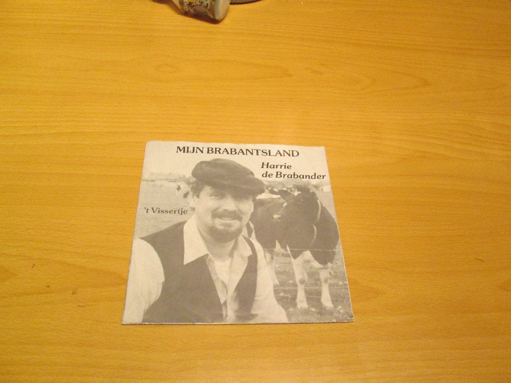 Harrie De Brabander - Mijn Brabantsland / ‘T Vissertje, Cd's en Dvd's, Vinyl Singles, Gebruikt, Pop, Ophalen of Verzenden