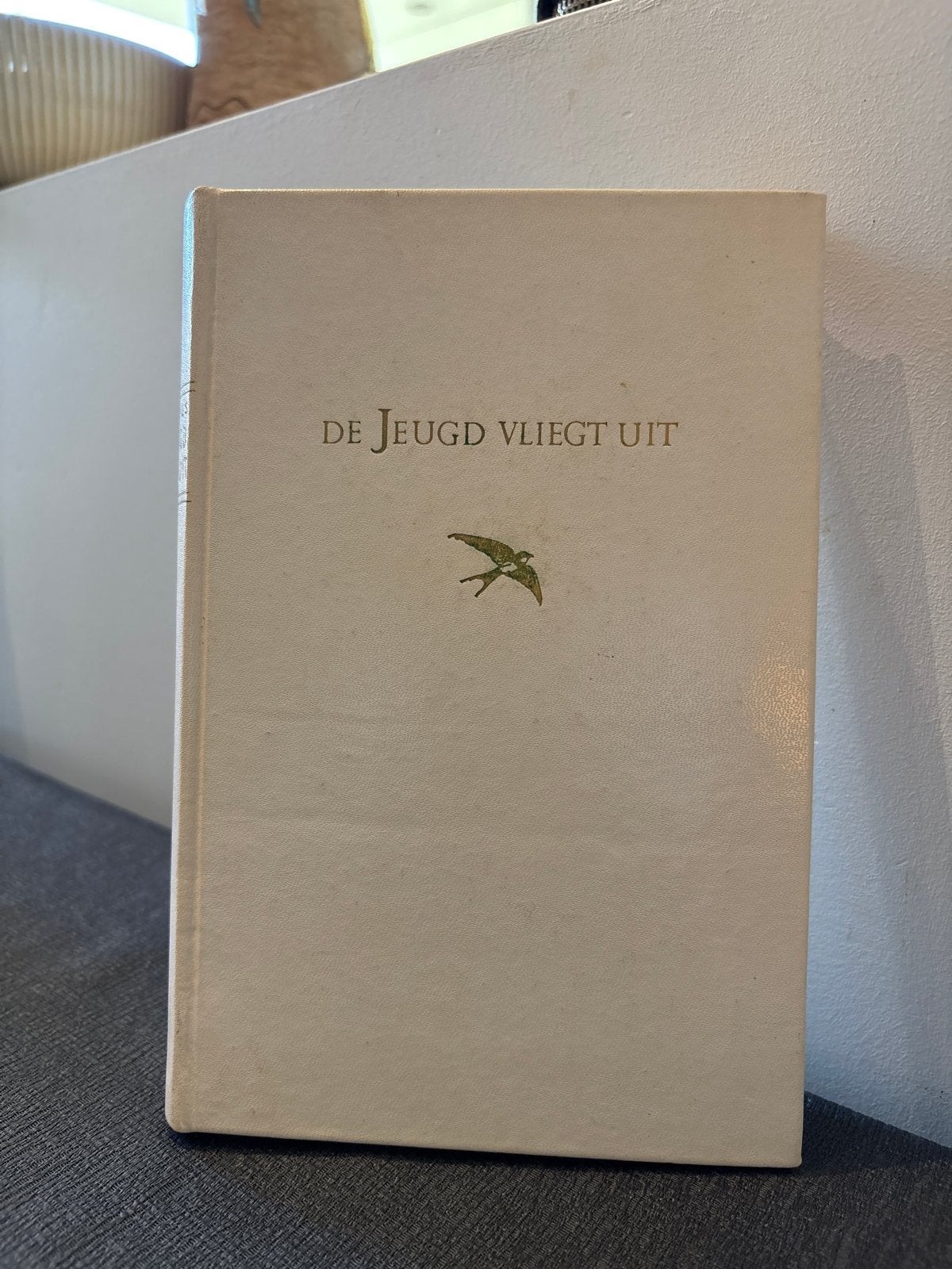 De Jeugd Vliegt Uit - Jan de Vries (1956), Ophalen of Verzenden, Gelezen, Fictie
