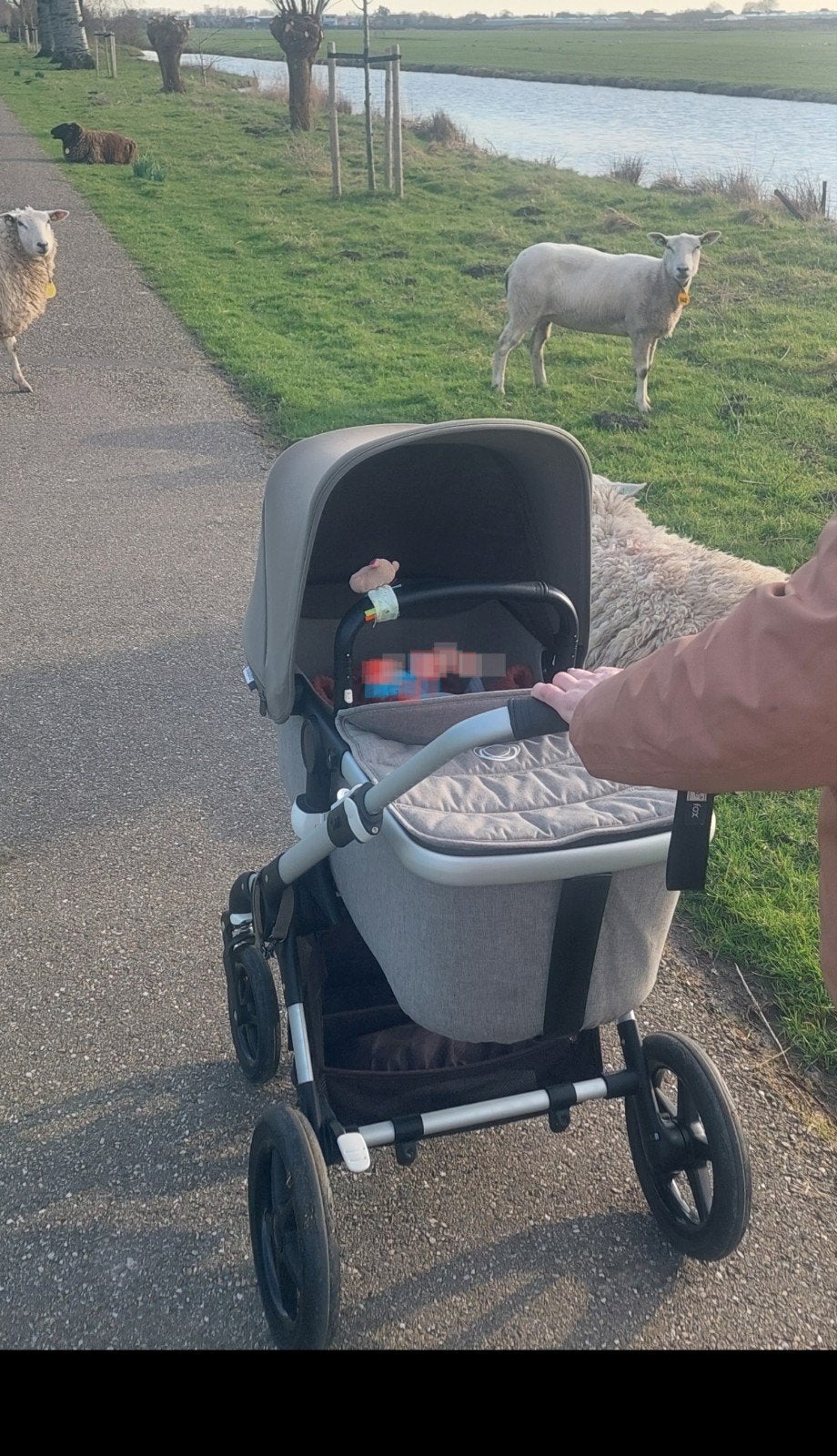 Complete Bugaboo Fox combiwagen met reiswieg en meerijzitje, Ophalen of Verzenden, Gebruikt, Bugaboo, Met reiswieg