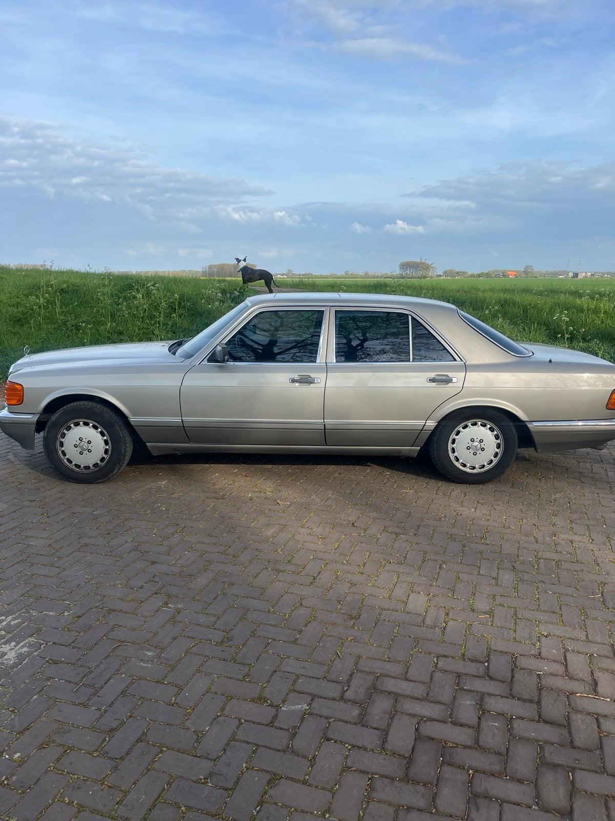 Mercedes-Benz S-Klasse 500se met heel veel opties 1987, Automaat, Achterwielaandrijving, 4973 cc, Leder