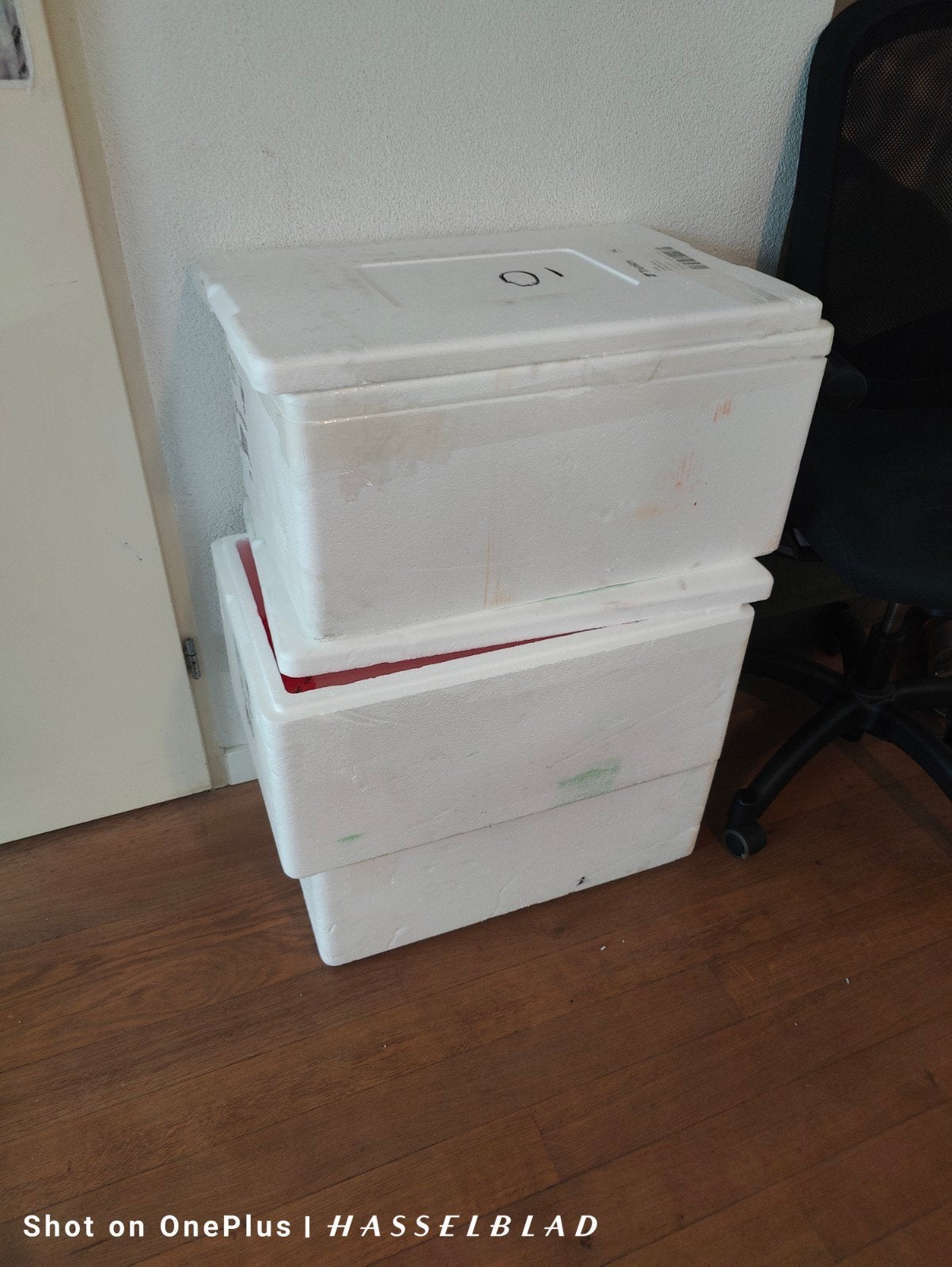 2 thermoboxen per stuk 5 euro, Ophalen, 40 tot 60 cm, Doos, 35 tot 50 cm