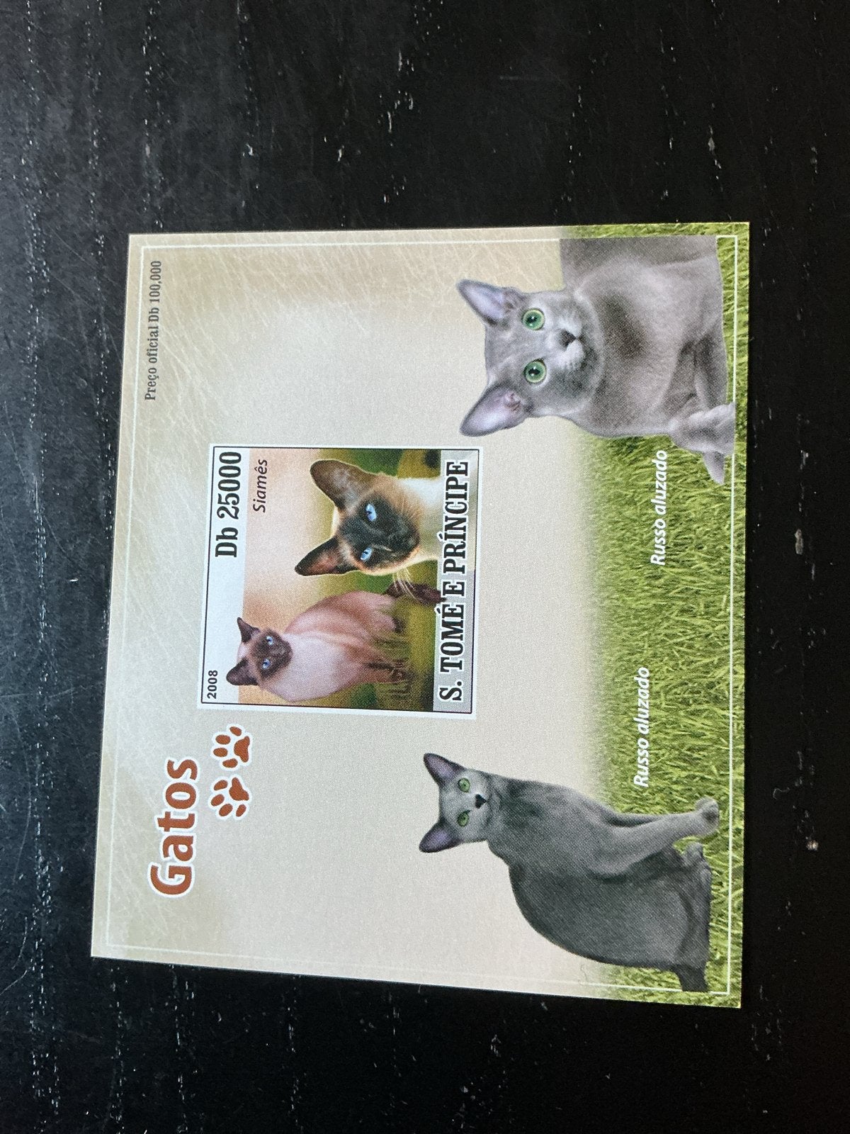 Postzegelkaarten S. Tomé e Príncipe - Gatos (2008), Ophalen of Verzenden, Postfris, Dier of Natuur