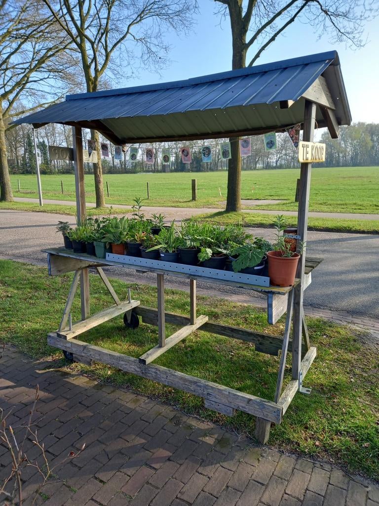 Tuinplanten te koop, Ophalen