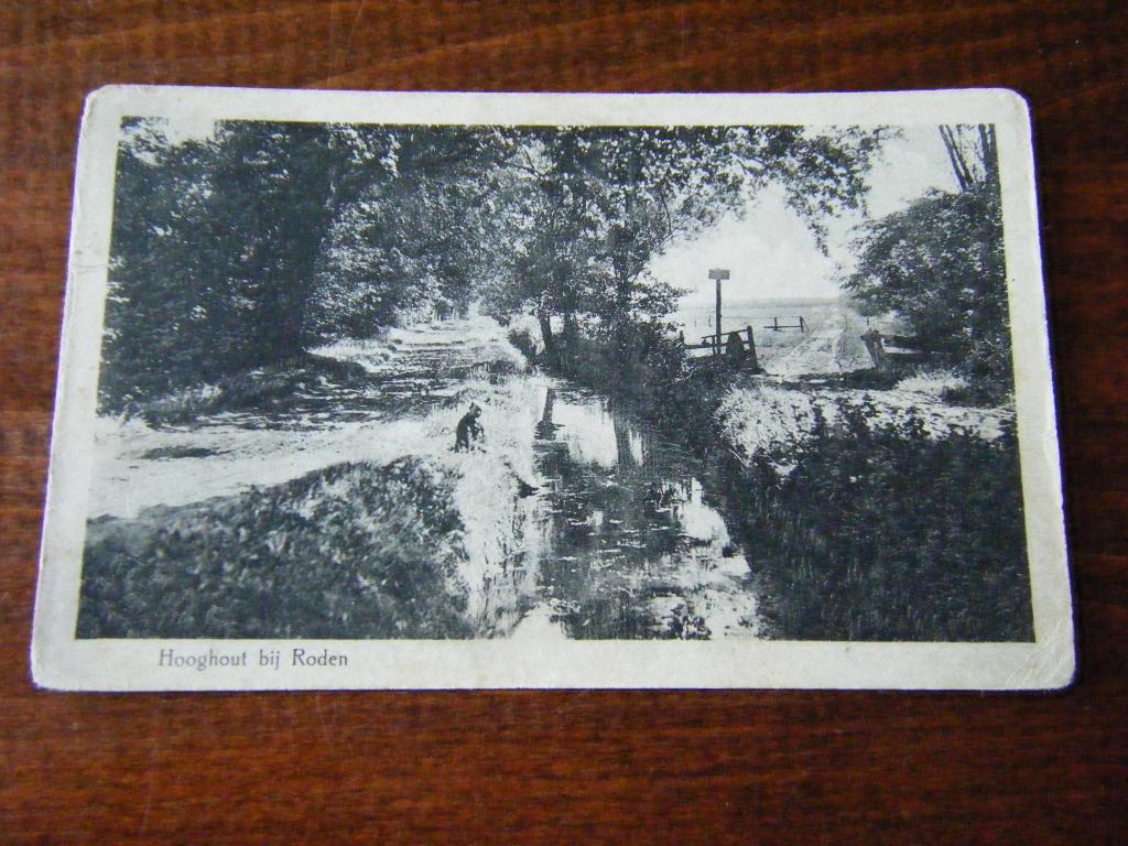 W35 - Roden / Hooghout - Sloot - Bos - 1928 - Mooi/Oud, Verzamelen, Ansichtkaarten | Nederland, Ophalen of Verzenden, 1920 tot 1940