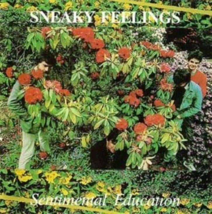 CD: Sneaky Feelings – Sentimental Education, Ophalen of Verzenden, Zo goed als nieuw, Poprock