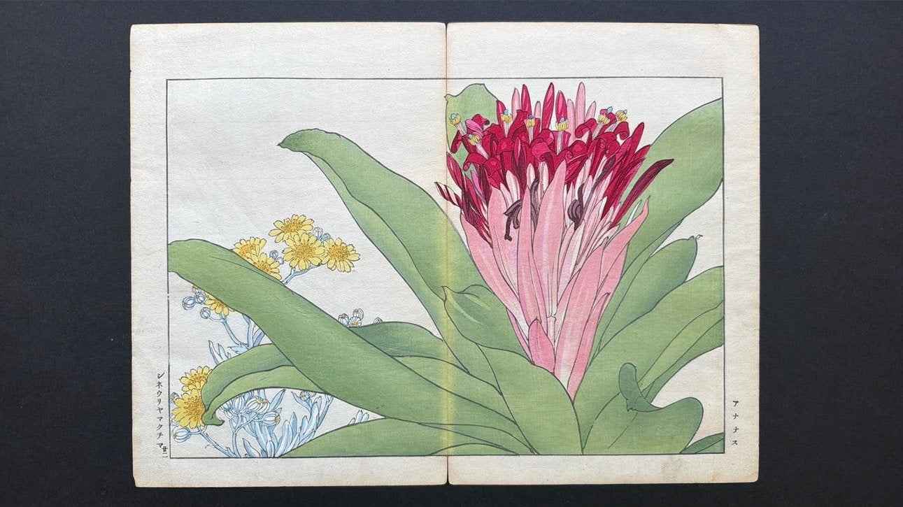 Japanse houtsnede druk - Agapetes, Antiek en Kunst, Kunst | Litho's en Zeefdrukken, Houtsnede, Ophalen of Verzenden, Dieren en Natuur