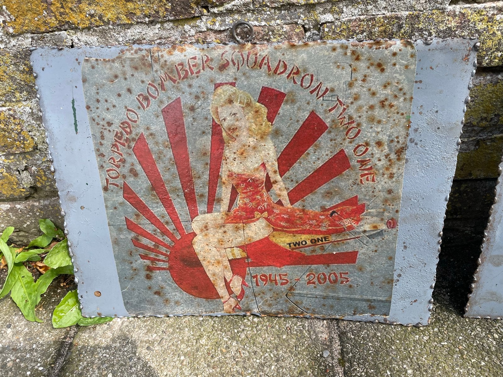 Metalen borden met pin-up art - Set van 2, Ophalen
