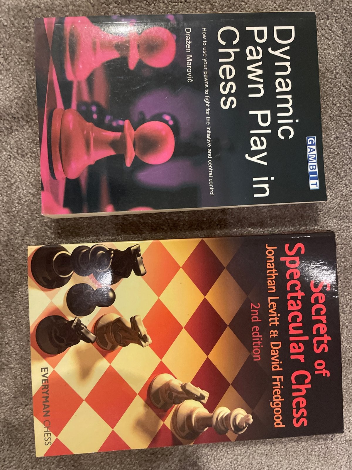 Schaakboeken: Dynamic Pawn Play & Secrets of Spectacular Che, Boeken, Ophalen of Verzenden, Zo goed als nieuw, Europa overig