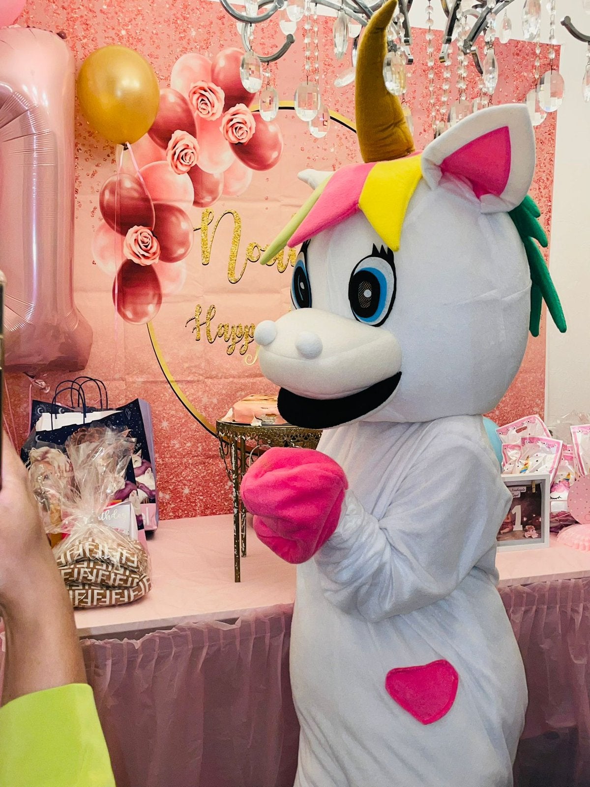 Unicorn Mascotte met de liefste acteur op jouw feestje!, Ophalen, Zo goed als nieuw, Verjaardag