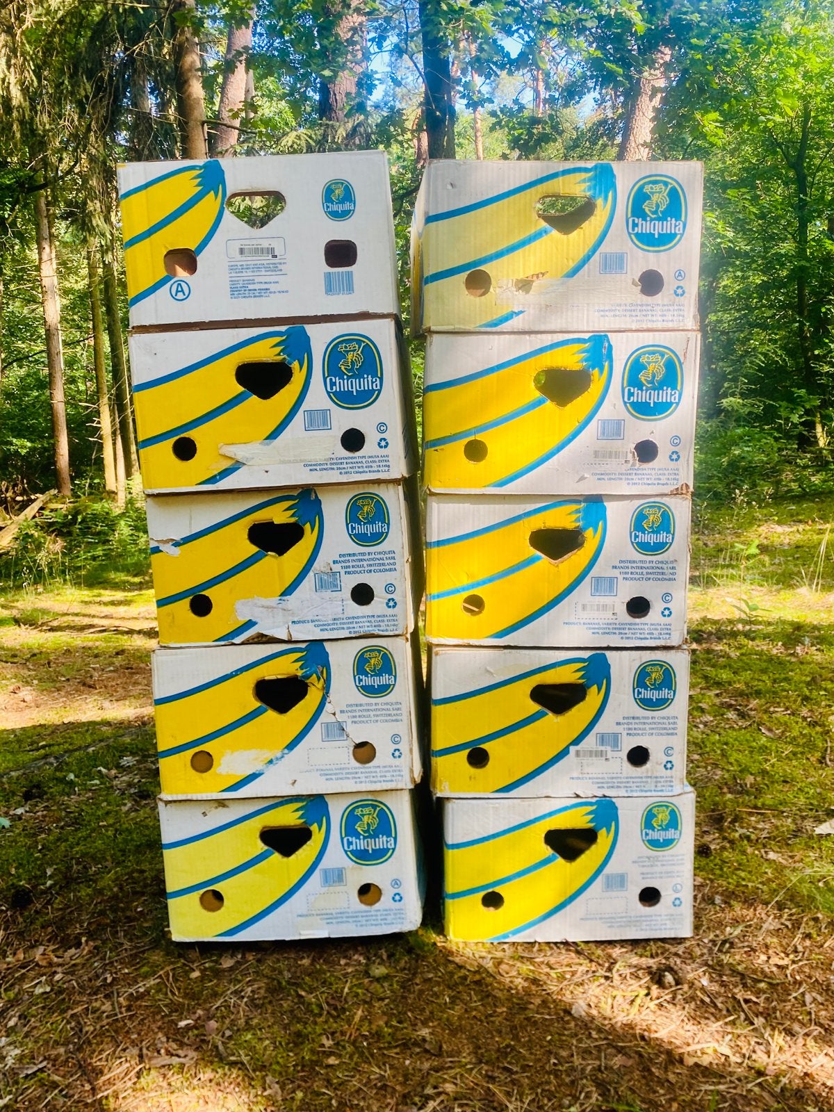 10 bananendozen, Ophalen, 50 tot 75 cm, Minder dan 35 cm, Doos