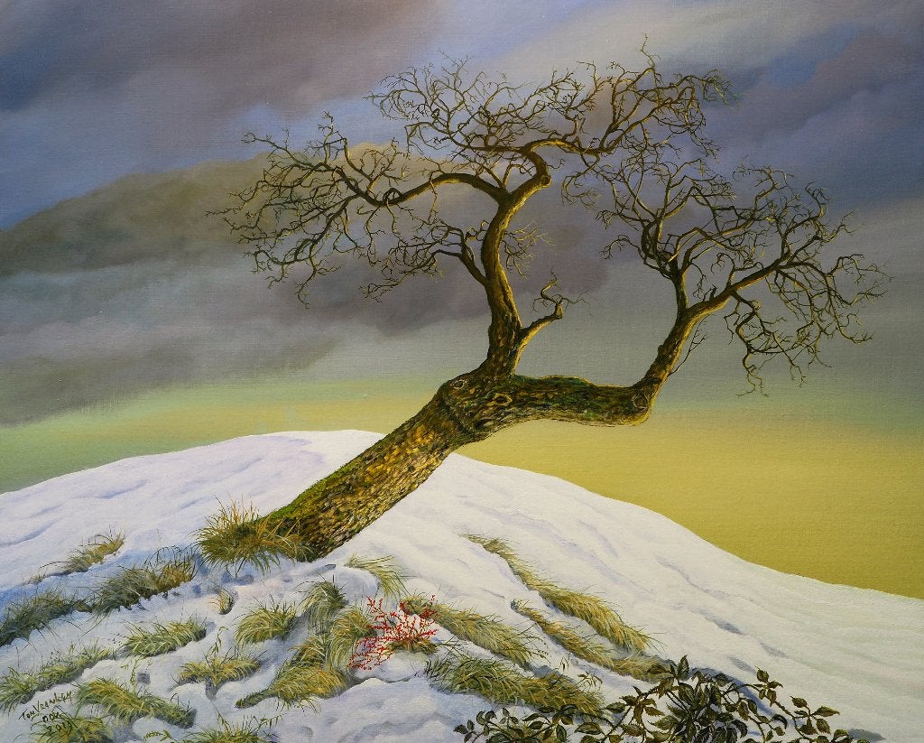 "Appelhoogstam in sneeuw" ( Ton Vranken ), Ophalen, Doek, Realistisch, Gesigneerd