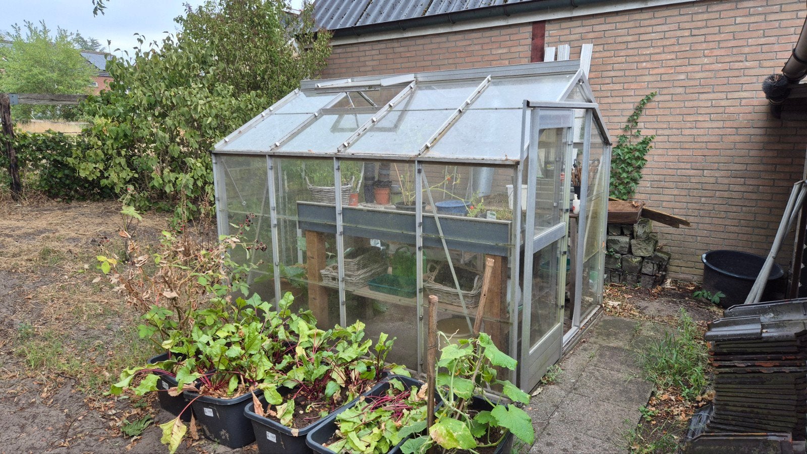 Gebruikte Kweekkas - Ideaal voor uw tuin, Tuin en Terras, Kassen, Gebruikt, Kweekkas, Ophalen of Verzenden, Glas