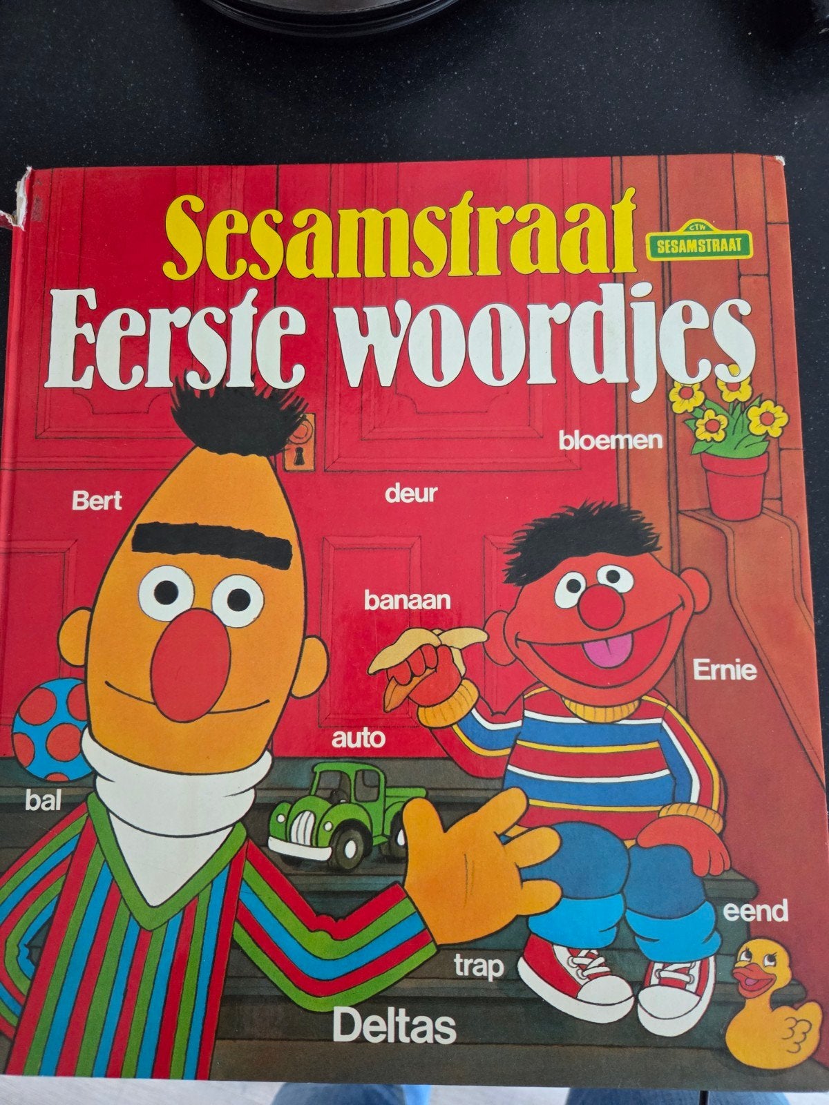 Sesamstraat Eerste Woordjes - Leerzaam en Leuk Boek, Boeken, Ophalen of Verzenden, Gelezen