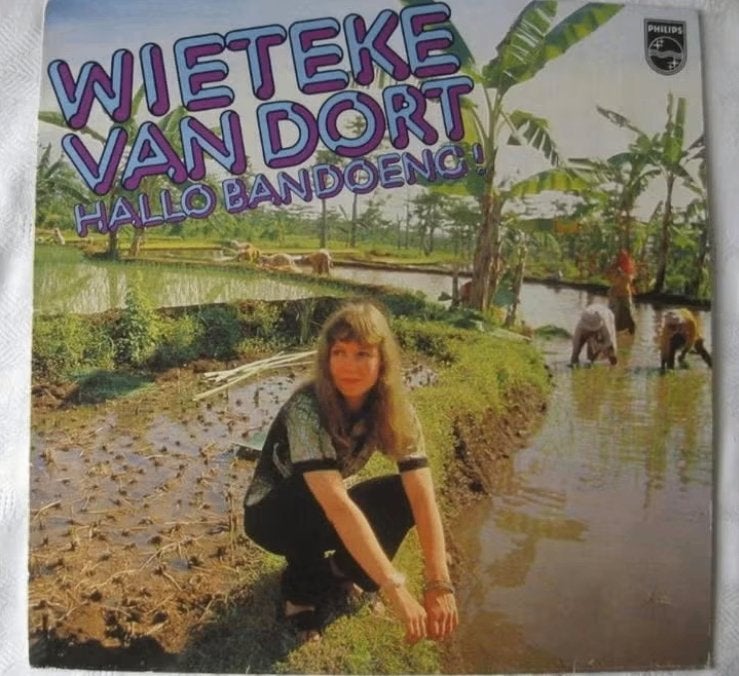 15. LP Wieteke van Dort 1979, LP, Ophalen of Verzenden, Zo goed als nieuw, Pop