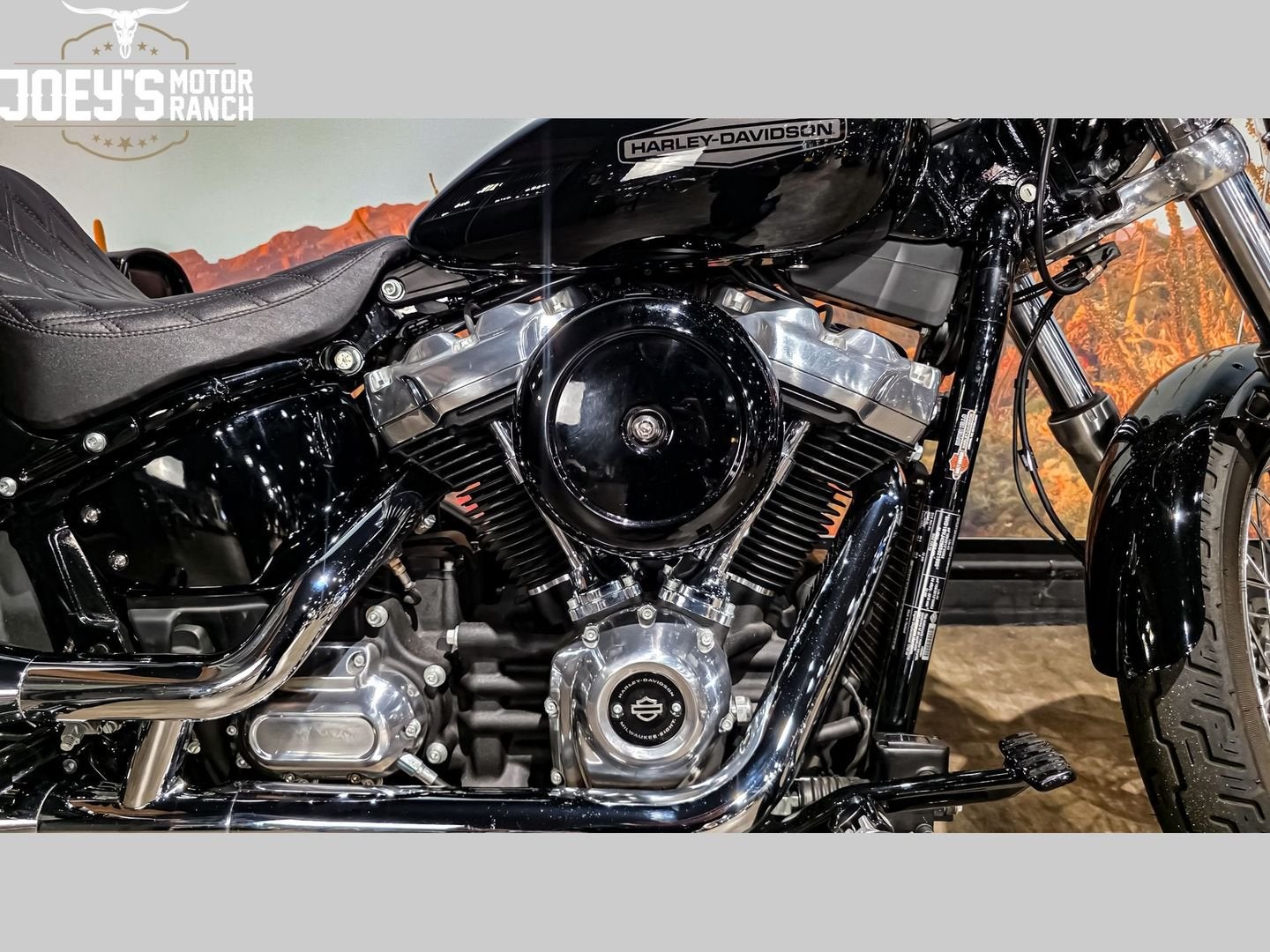 HARLEY-DAVIDSON SOFTAIL STANDARD FXST (bj 2021), Motoren, Motoren | Harley-Davidson, 2 cilinders, Bedrijf, Onbekend, Meer dan 35 kW