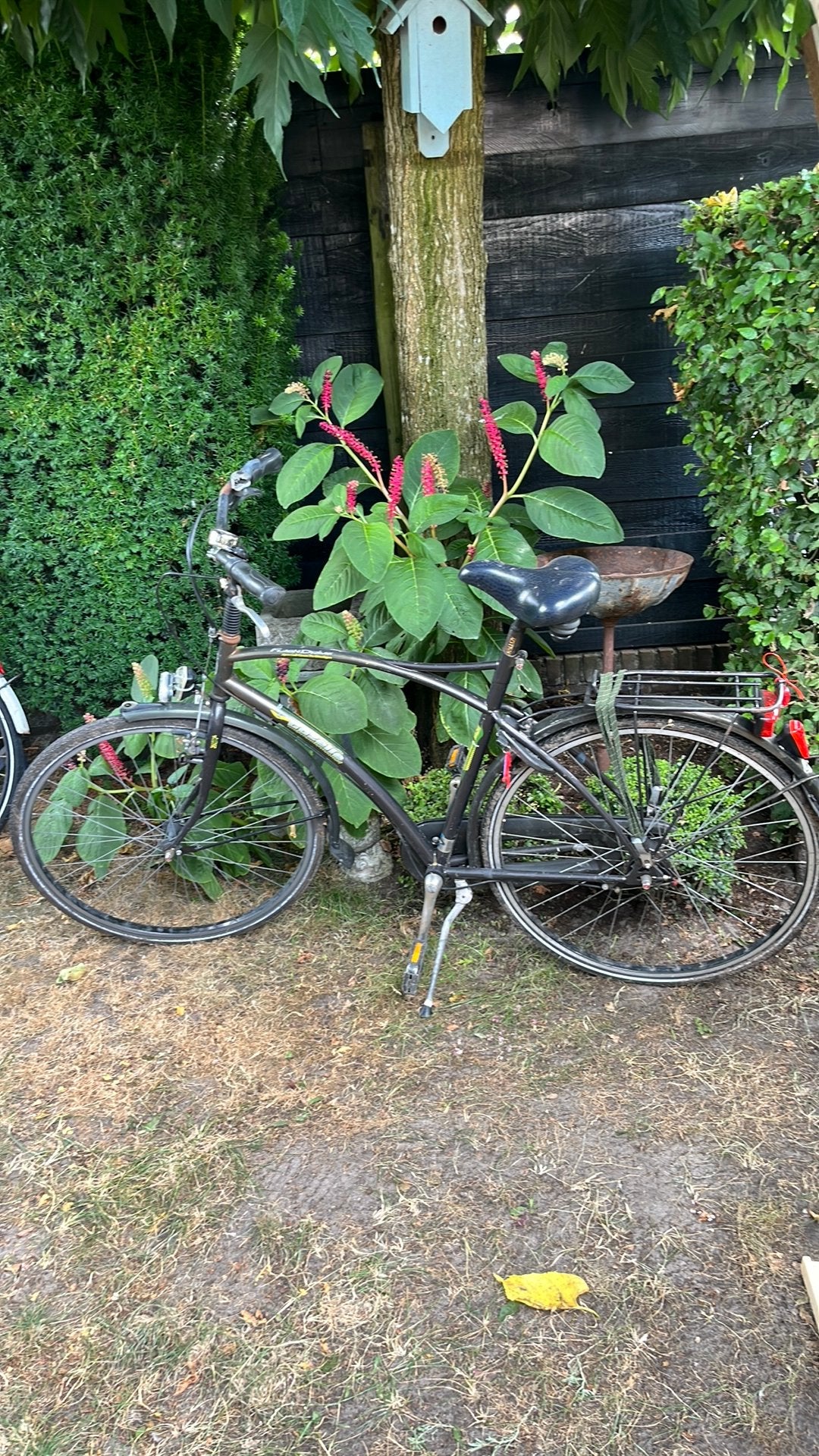 Herenfiets Gazelle opknapper, Ophalen, Gebruikt, Gazelle