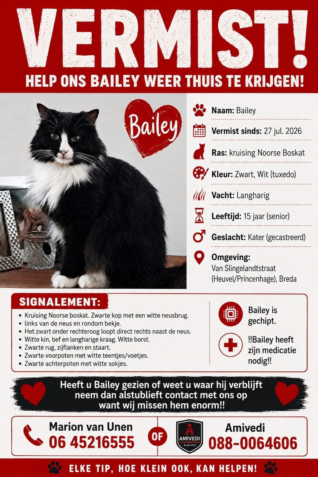 Bailey vermist. 2257264 Amivedi, Kater, 6 jaar of ouder