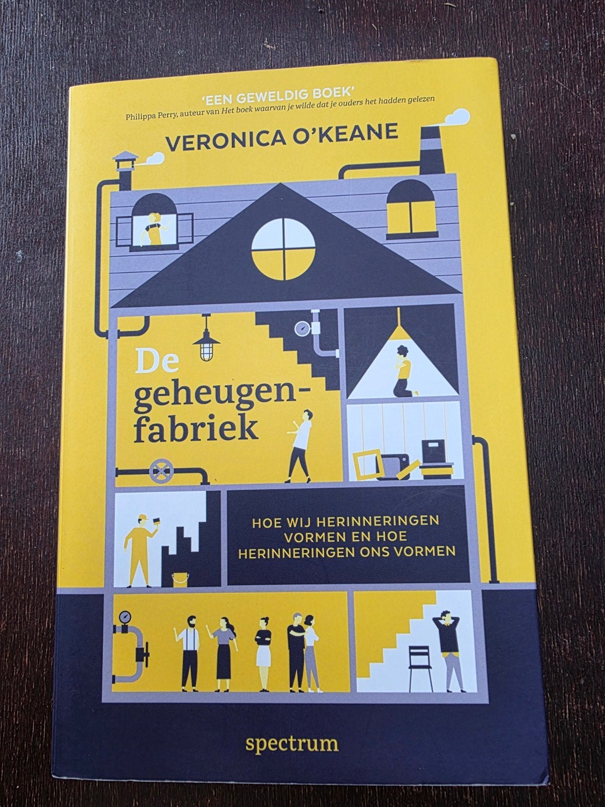 De Geheugen fabriek - Veronica O'Keane, Boeken, Ophalen of Verzenden, Zo goed als nieuw, Ontwikkelingspsychologie, Veronica O'Keane