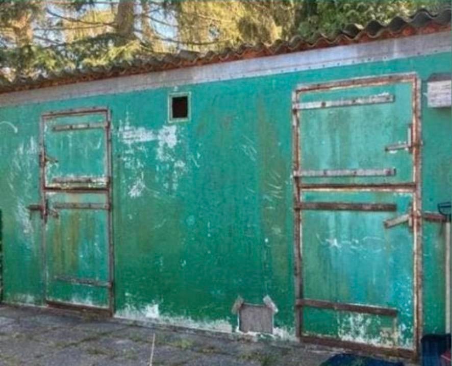 paardencontainer dierenverblijf stalling (6m x 3,50m), Stalling, 2 of 3 paarden of pony's
