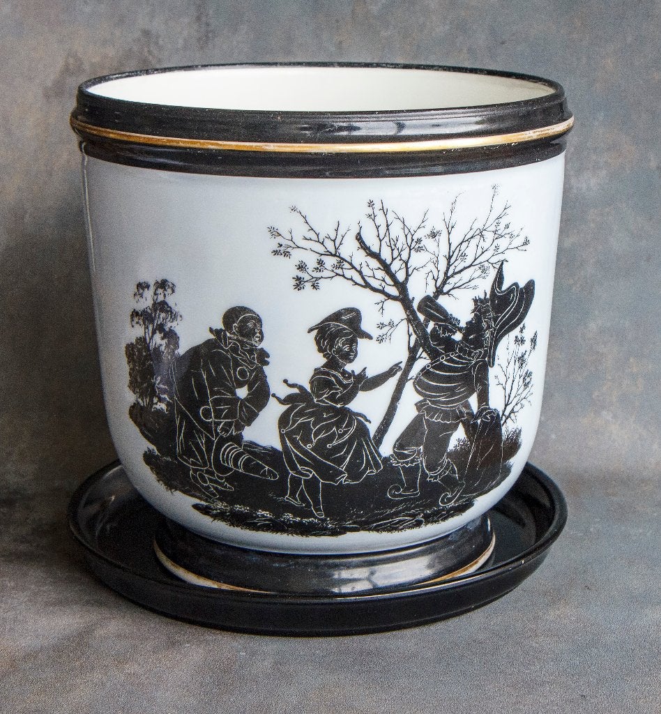 sierpot kamerplanten, Ophalen of Verzenden, Halfschaduw, Minder dan 100 cm