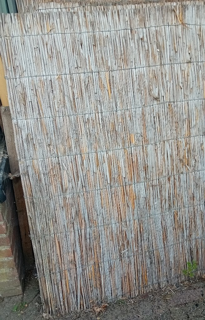 Te koop rieten matten, Tuin en Terras, Tuinschermen, Ophalen, Overige materialen, Gebruikt, 100 tot 150 cm