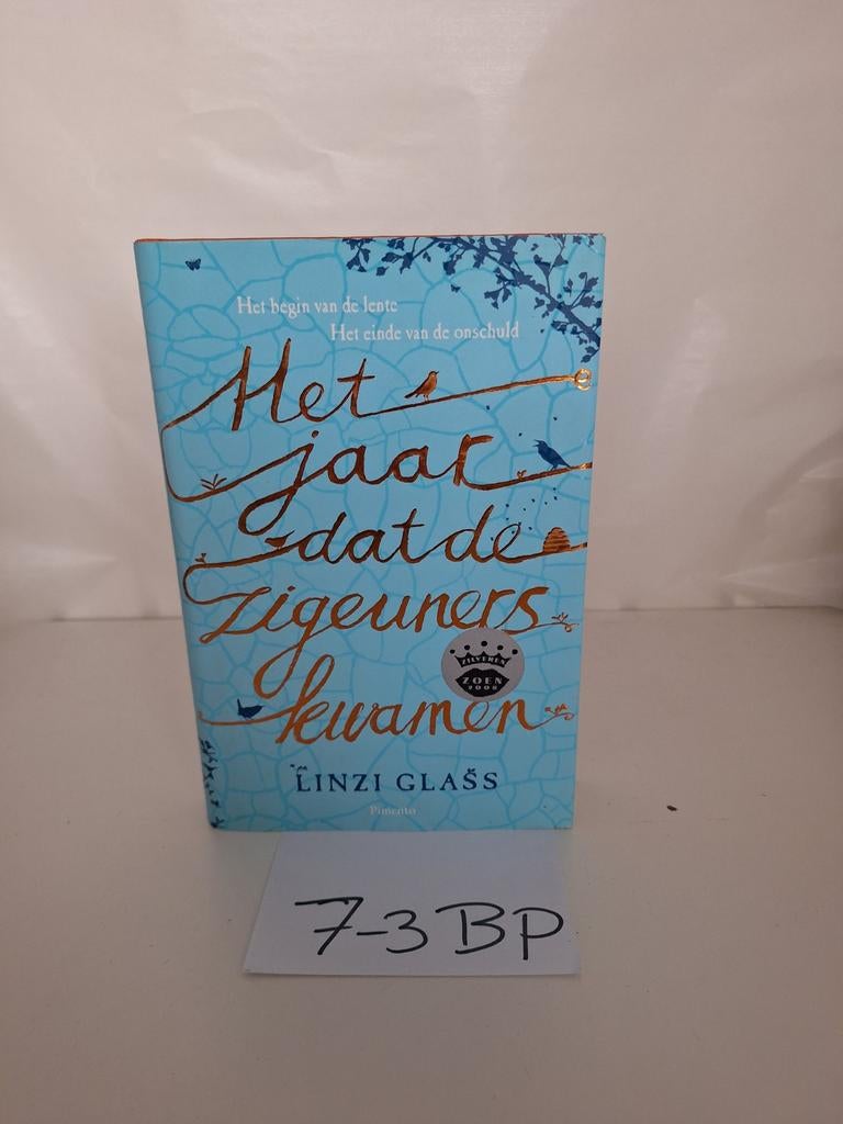 Het jaar dat de zigeuners kwamen - Linzi Glass, Ophalen of Verzenden, Gelezen, Linzi Glass, Nederland