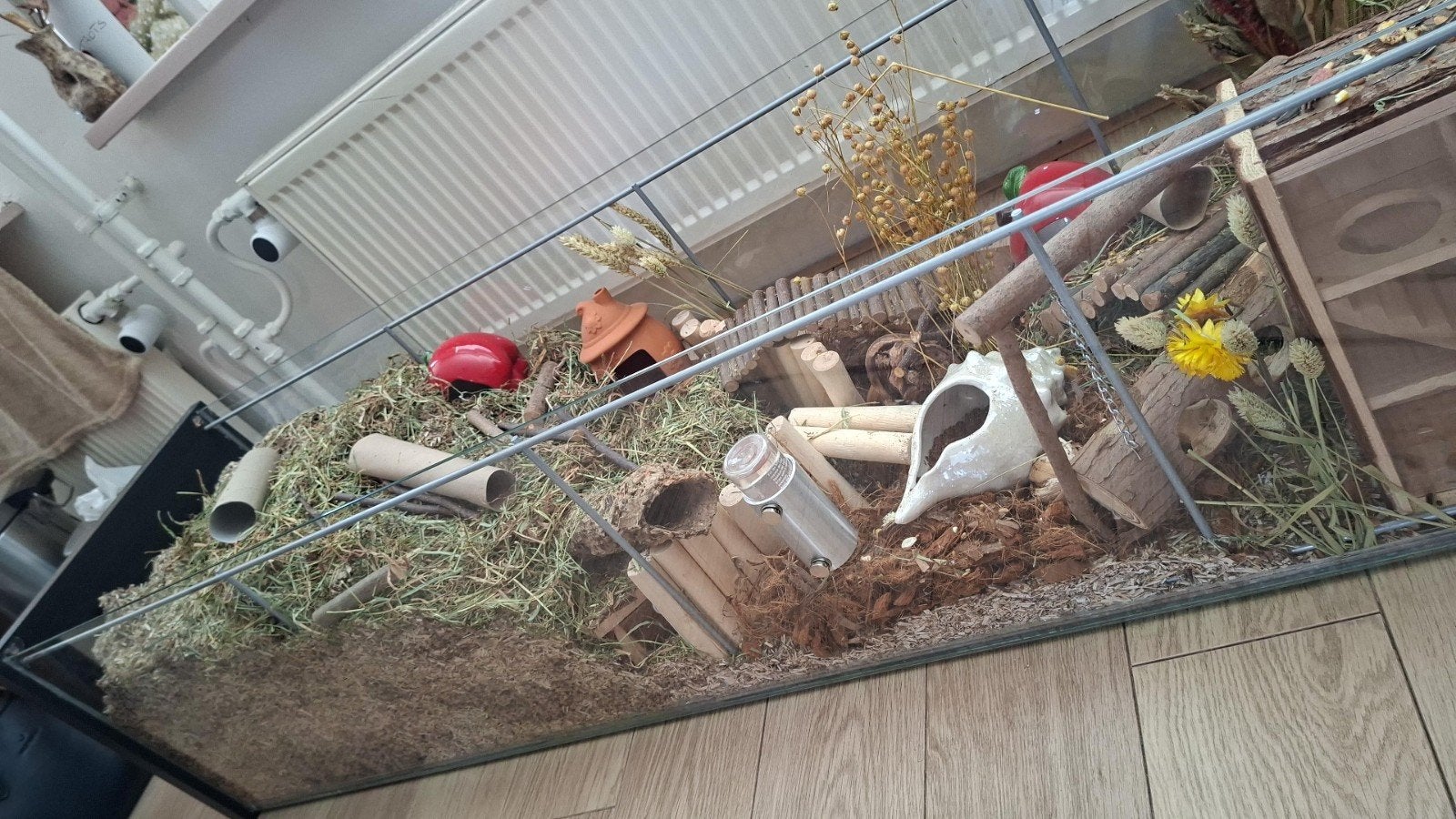 gerbil/hamster terrarium (omgebouwde kast) 160cm, Ophalen