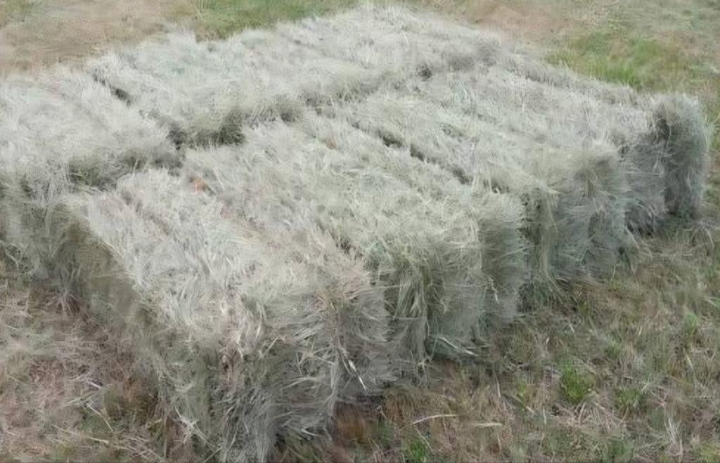 Hooibaaltjes hooi balen minibalen