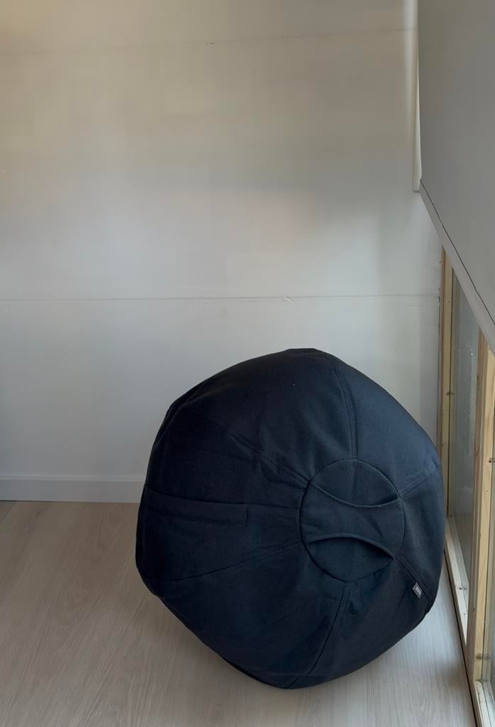Leitz Ergo Actieve Zitbal - Anti-rol design - 65cm, Ophalen of Verzenden