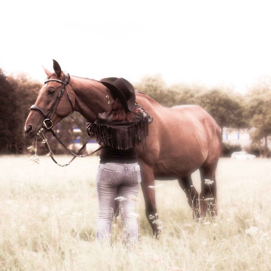 Verzorgster aangeboden/verzorg paard/pony gezocht, Dieren en Toebehoren, Ophalen