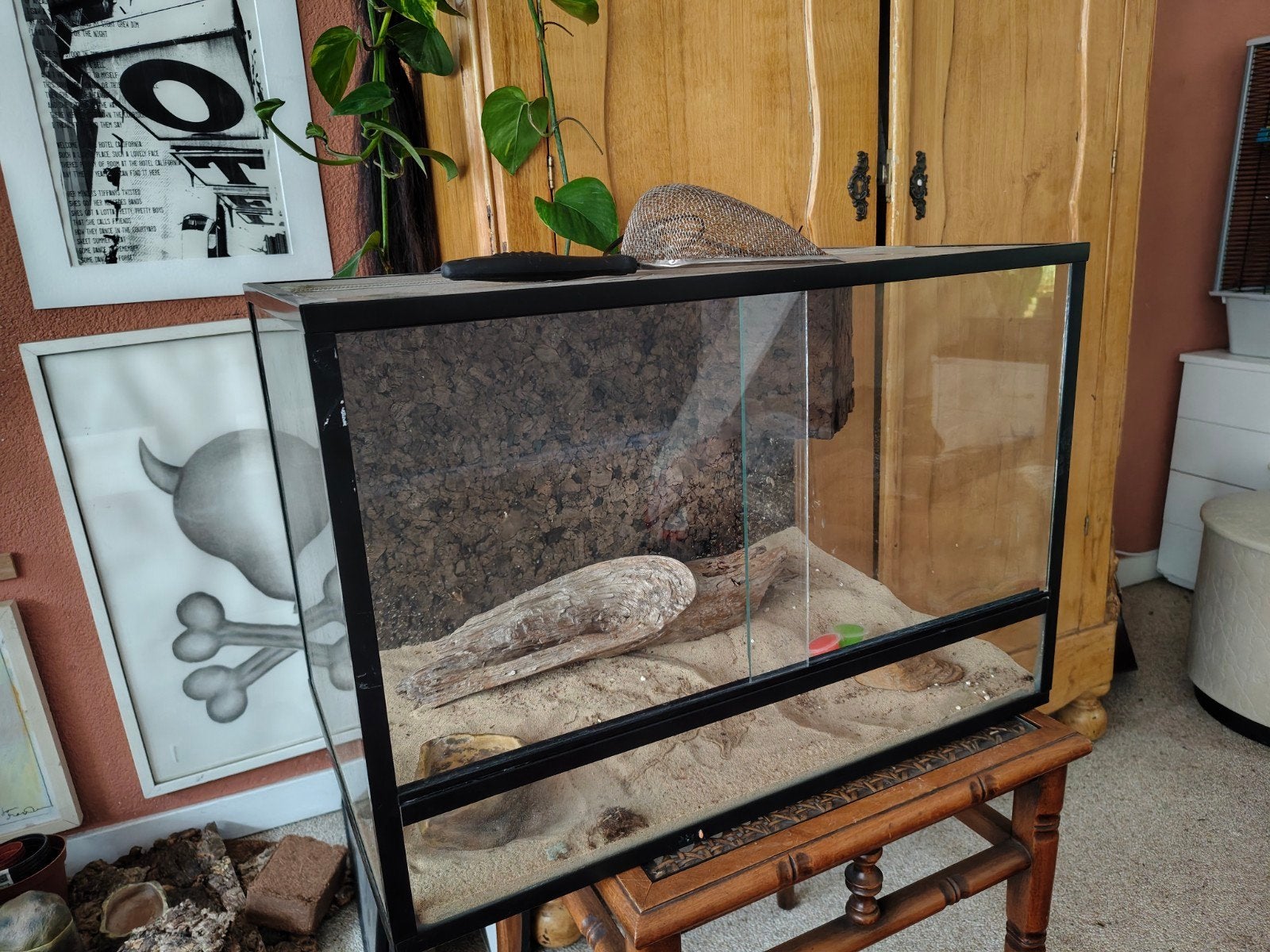 terrarium 60 x 40 x 40 cm, Ophalen