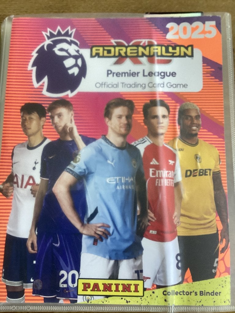 Voetbalboek panini / voetbalplaatjes, Ophalen of Verzenden, Zo goed als nieuw, Plaatje