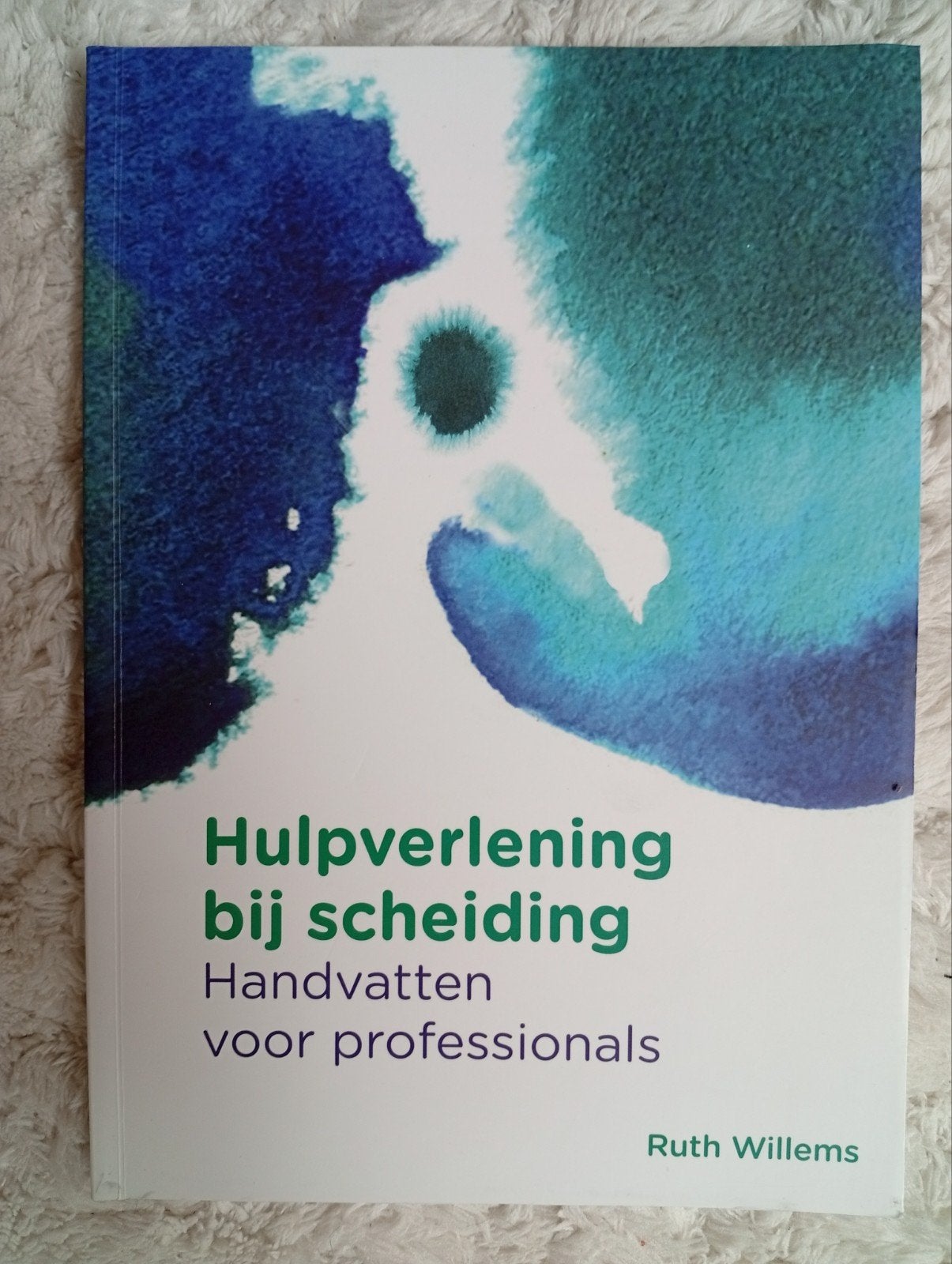 Hulpverlening bij scheiding: Handvatten voor professionals, Ophalen of Verzenden, Zo goed als nieuw, Ruth Willems
