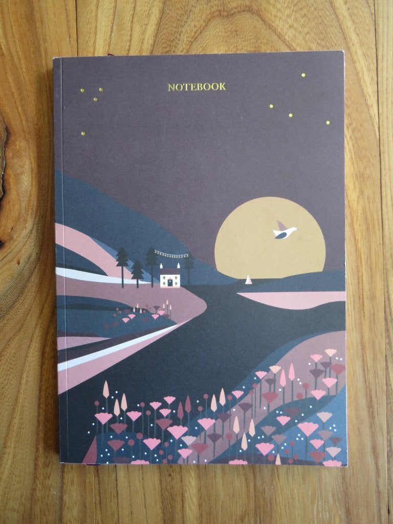 Saskia Rasink - Night Sky notitieboek A4 blanco, Diversen, Notitieboeken, Ophalen of Verzenden, Nieuw, A4