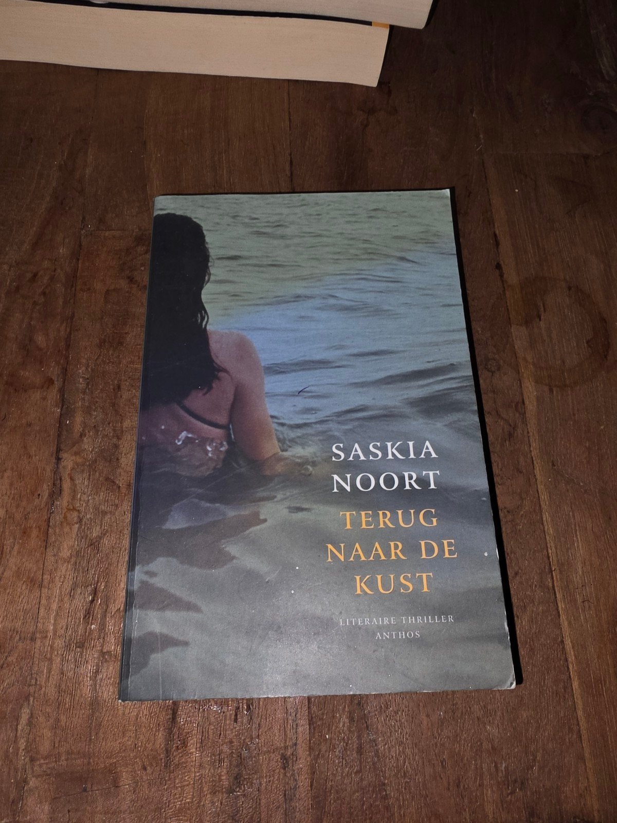Saskia Noort - Terug naar de kust (Literaire thriller), Ophalen of Verzenden, Gelezen, Saskia Noort, Nederland