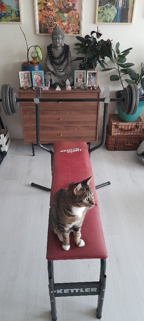 KETTLER - Bench Press - 30kg, Ophalen, Gebruikt, Overige materialen, Overige typen