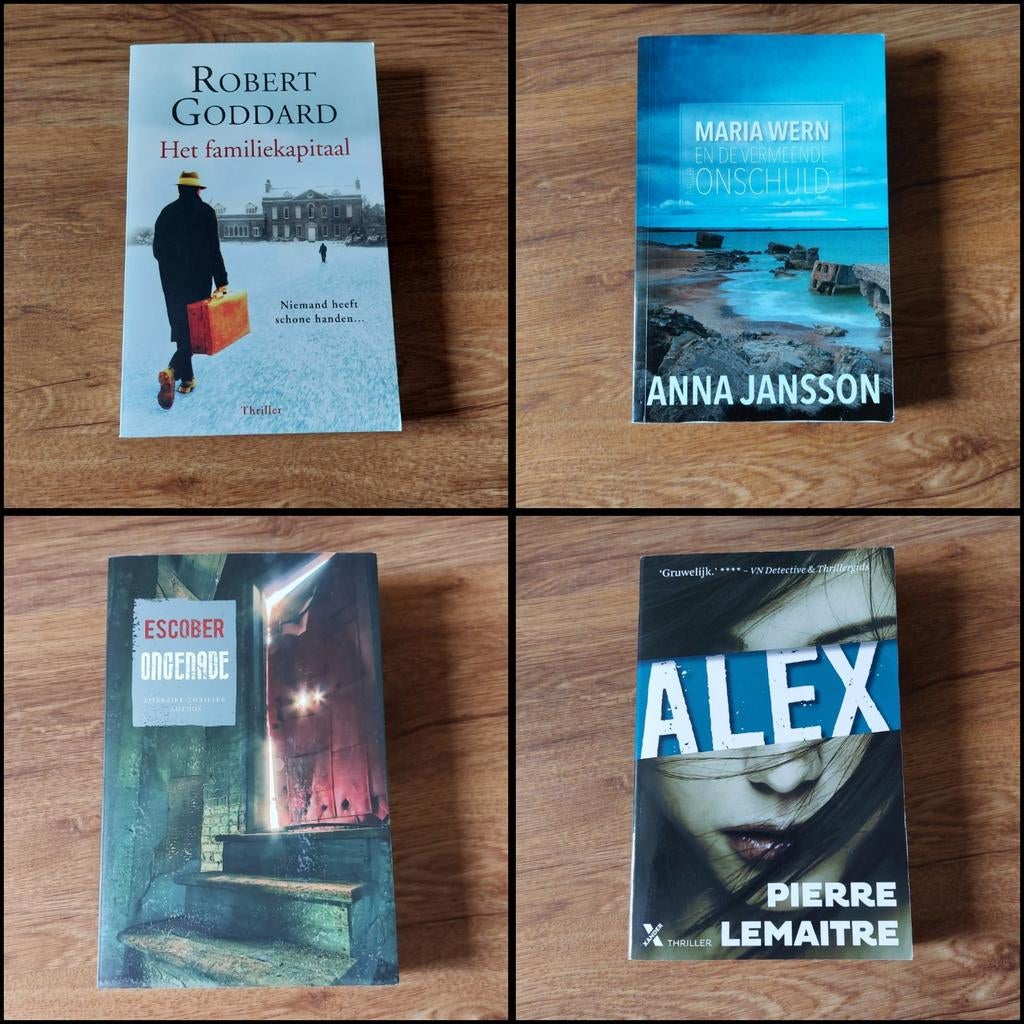 Thrillers • divers • o.a. Robbert Goddard, Ophalen of Verzenden, Zo goed als nieuw, Robert Goddard