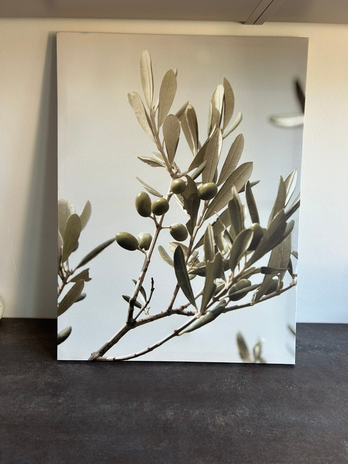 Kwantum tuinposter olijftak 60x45 cm - Nieuw, Ophalen