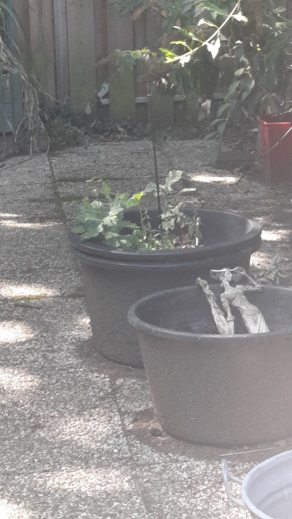 Plantenbakken 2 grote en 1 kleine, Ophalen, Kunststof, Gebruikt, Minder dan 30 cm