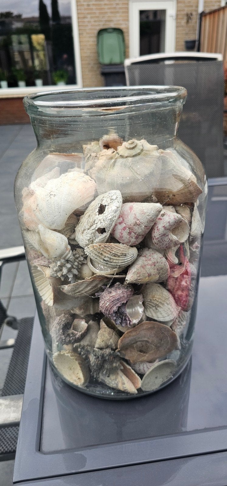 Grote glazen pot met diverse schelpen, Ophalen, Gebruikt