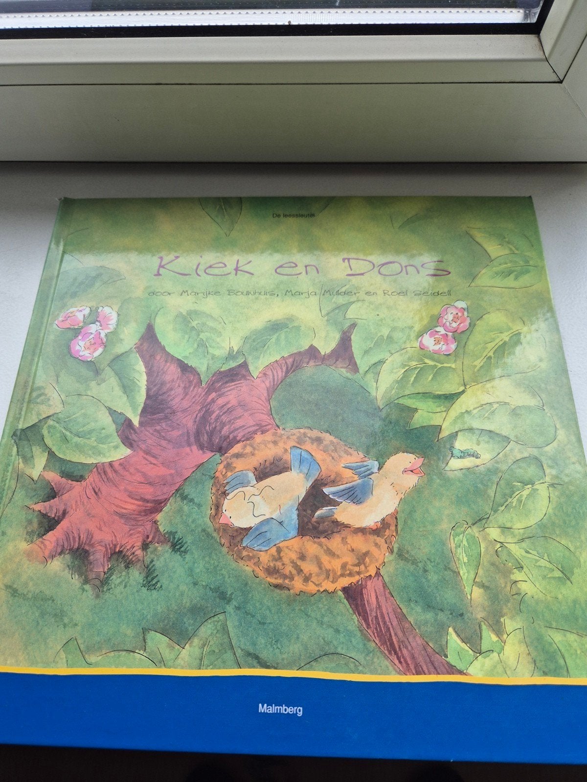 Kiek en Dons - Kinderboek over vogels en natuur, Ophalen of Verzenden, Zo goed als nieuw, Marijke Bouwhuis, Marja Mulder en Roel Seidell