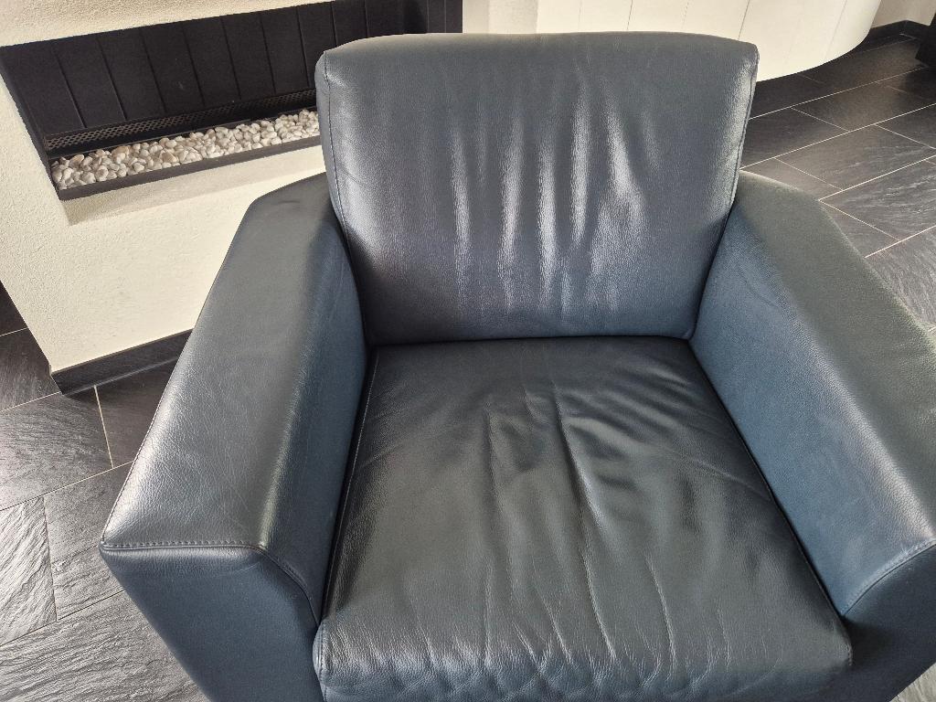2 leren AntiPode (leolux) fauteuils, Ophalen, Zo goed als nieuw, 75 tot 100 cm, Modern